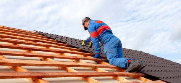 Best Gutter Installation and Repair  in Winnsboro, TX