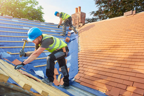 Best Skylight Installation and Repair  in Winnsboro, TX